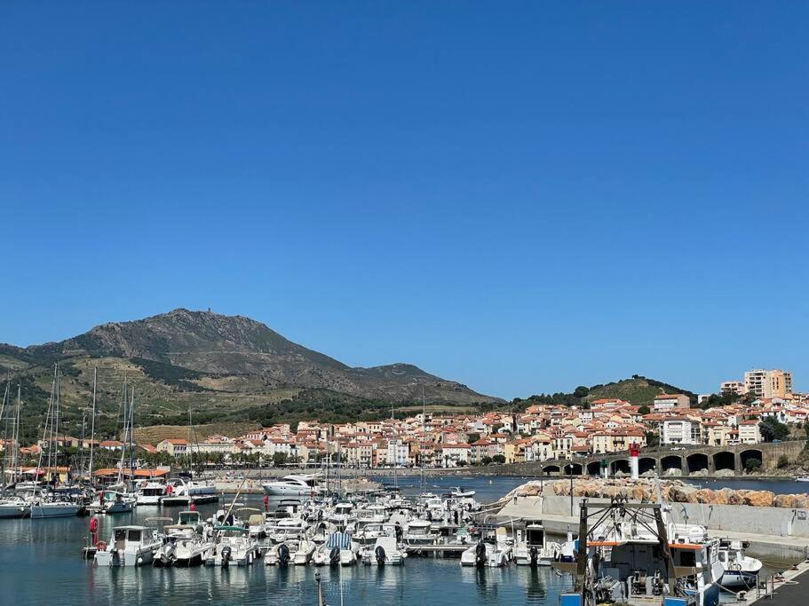 Banyuls La Grande Bleue : Studio T1 Exterior foto